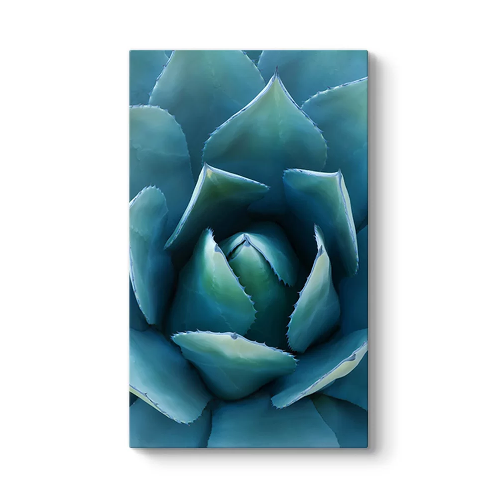 Aloe Vera Kaktüs Kanvas Tablo - Model 35